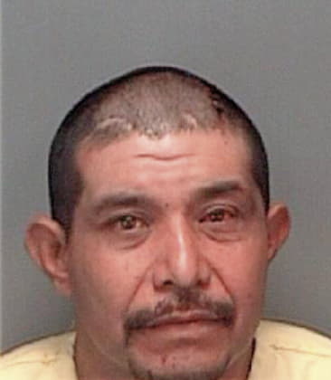 Raul Torres, - Pinellas County, FL 