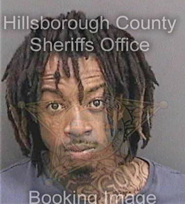 Damion Young, - Hillsborough County, FL 