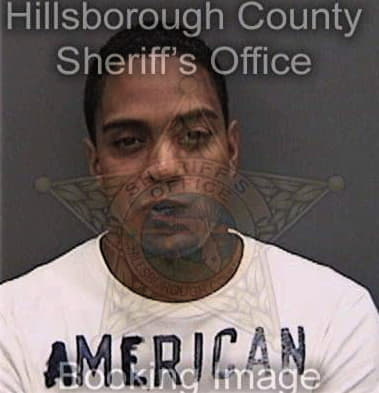 Reginald Bedford, - Hillsborough County, FL 