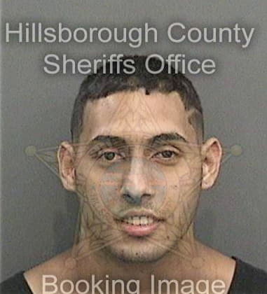 Matthew Craig, - Hillsborough County, FL 