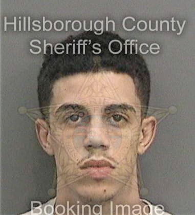 Ricky Hathorn, - Hillsborough County, FL 