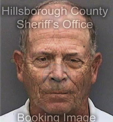 Joshua Miller - Hillsborough County, FL 