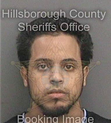 Stephen Mountain, - Hillsborough County, FL 