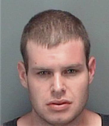 Michael Higgins, - Pinellas County, FL 