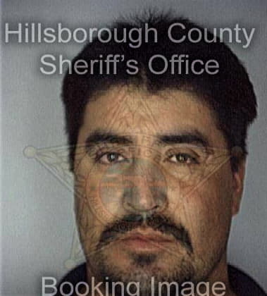 Kenneth Kanizai, - Hillsborough County, FL 