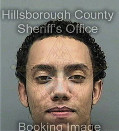 Christopher Carithers, - Hillsborough County, FL 