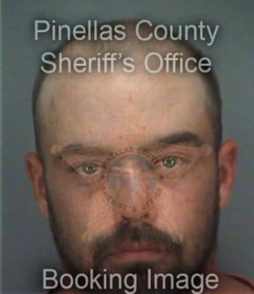 Michael Gonzalez, - Pinellas County, FL 