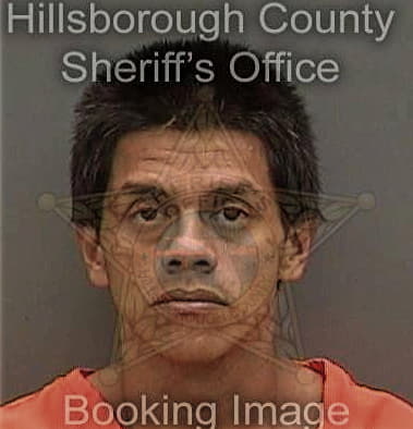 Robert Henry - Hillsborough County, FL 