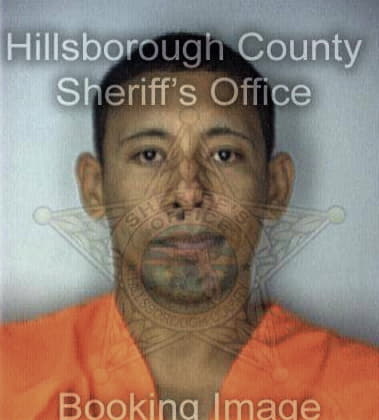 Andres Hernandezatlas - Hillsborough County, FL 