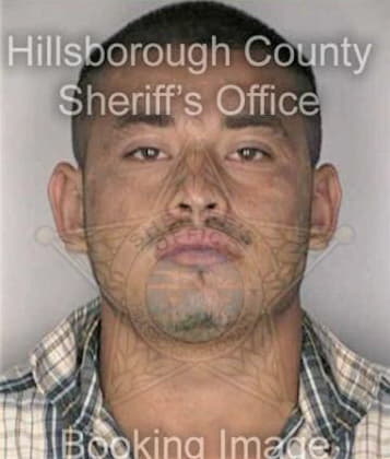 Arnaldo Palizalemus, - Hillsborough County, FL 