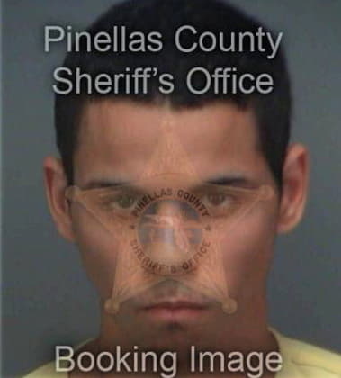 Henry Rice, - Pinellas County, FL 