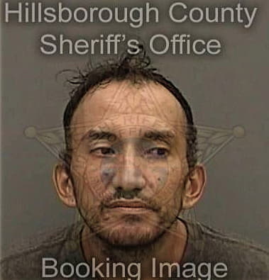 Erik Vasquez-Andrade, - Hillsborough County, FL 