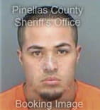 Jose Velizsuarez, - Pinellas County, FL 