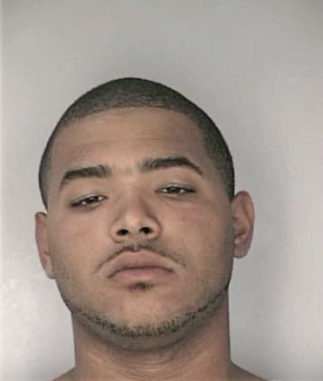 Michael Bridgeman - Hillsborough County, FL 
