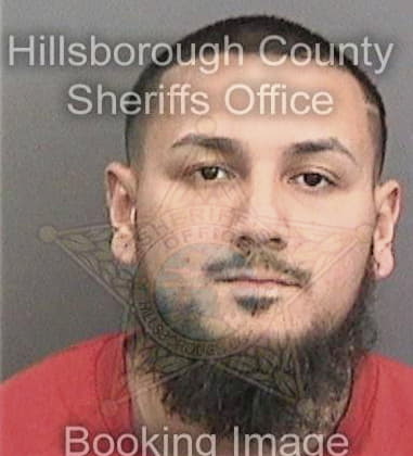 Jose Colongonzalez, - Hillsborough County, FL 