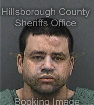 Ralph Doerfling, - Hillsborough County, FL 