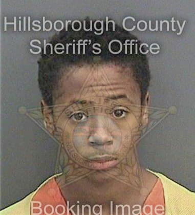Jamarcus Mingo - Hillsborough County, FL 