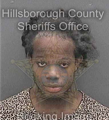 Michael Bailey, - Hillsborough County, FL 