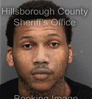 Melvin Brinson - Hillsborough County, FL 
