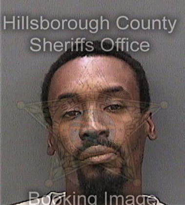 Michael Brinson - Hillsborough County, FL 