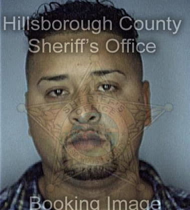 Hector Lozado, - Hillsborough County, FL 