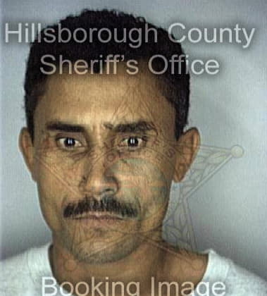 Luis Martinez, - Hillsborough County, FL 