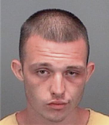 Anthony Messina, - Pinellas County, FL 