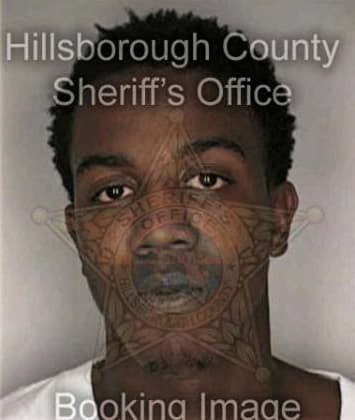 Dwright Mimmenger - Hillsborough County, FL 