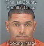 Nestor Montoyamaldonado, - Pinellas County, FL 