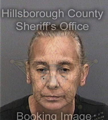 Sara Movahedi, - Hillsborough County, FL 