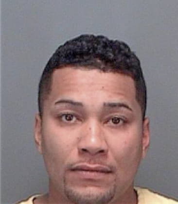 Ernesto Paredes, - Pinellas County, FL 