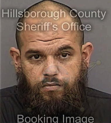 Stephen White - Hillsborough County, FL 