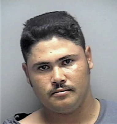 Manuel Guerra, - Lee County, FL 