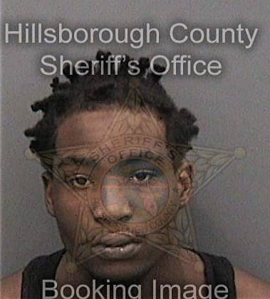 Rodney Kelly, - Hillsborough County, FL 