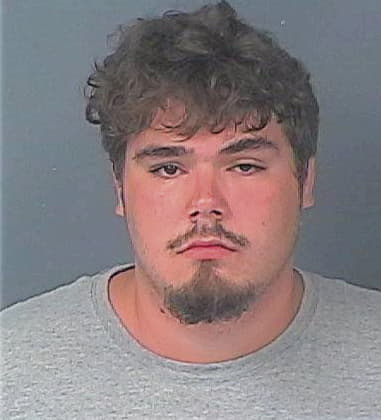 Anthony Leccese, - Hernando County, FL 