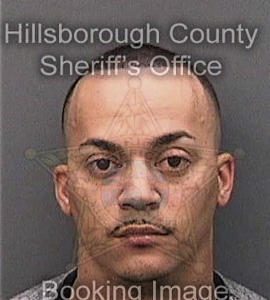 Liston Lewis, - Hillsborough County, FL 