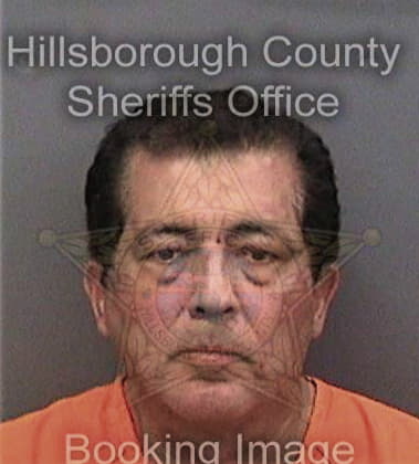 Mark Mahoney-Ii, - Hillsborough County, FL 