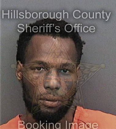 Deangelo Robinson - Hillsborough County, FL 