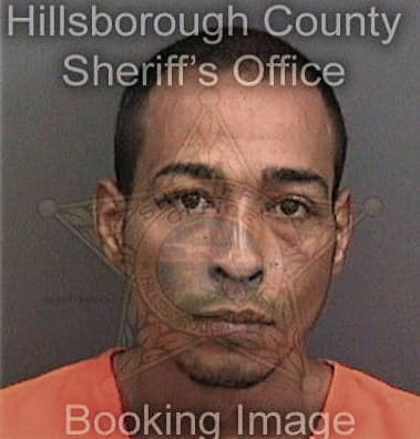 Daniel Stevens, - Hillsborough County, FL 