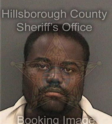 Bryan Delaneyfigueroa, - Hillsborough County, FL 