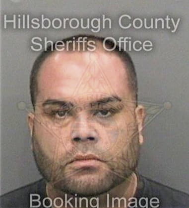 Enrique Garciamartinez, - Hillsborough County, FL 