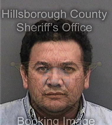 Antony Gargarello, - Hillsborough County, FL 