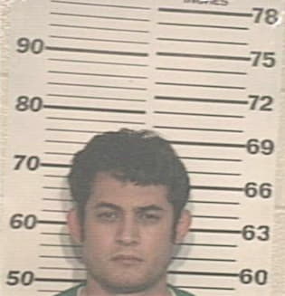 Alfredo Guzman, - Hidalgo County, TX 