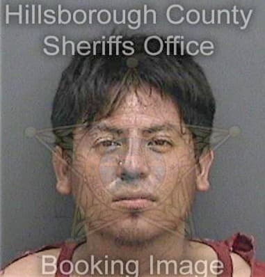 Juan Mendezruiz - Hillsborough County, FL 