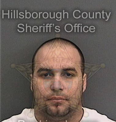 John Olson, - Hillsborough County, FL 