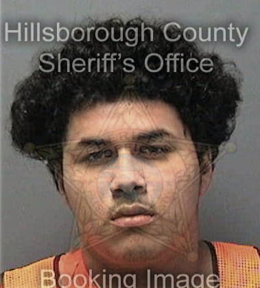 Nicholas Venturino, - Hillsborough County, FL 