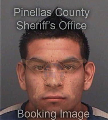 Noe Bautista, - Pinellas County, FL 