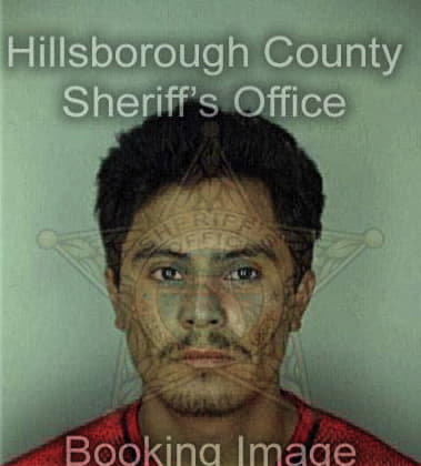 Daniel Clark - Hillsborough County, FL 