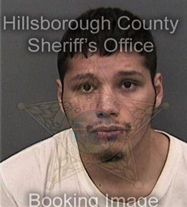 Brian Fulwood, - Hillsborough County, FL 