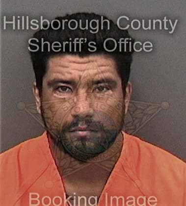 Bijan Adib, - Hillsborough County, FL 